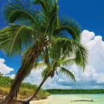 HEYE Παζλ 2000 Panorama Alexander Von Ηumboldt: Παραδεισένιοι Φοίνικες Paradise Palms 29860 4001689298609
