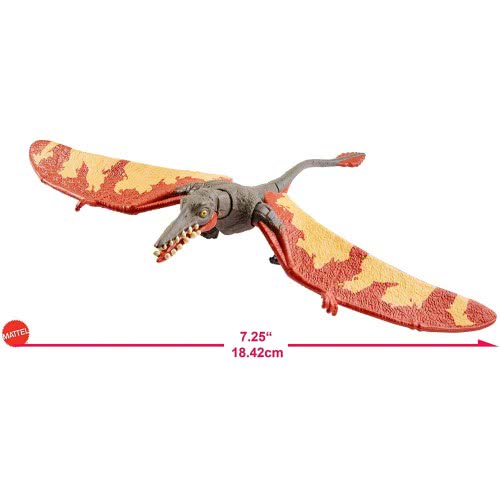 Mattel Jurassic World Basic Figures - Rhamphorhynchus FPF11 / GJN61 887961814330