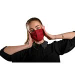GIM 2 Layer Protective Mask Bordeaux 300-00014 5204549132573
