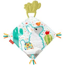 Mattel Teethe And Cuddle Cactus GJD38 887961809510