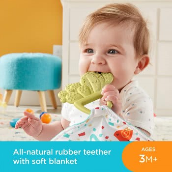 Mattel Teethe And Cuddle Cactus GJD38 887961809510