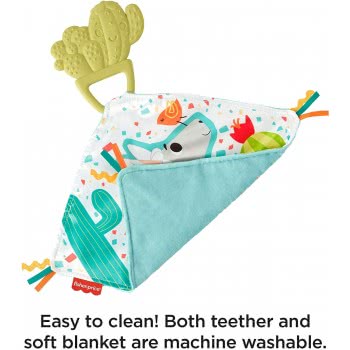Mattel Teethe And Cuddle Cactus GJD38 887961809510