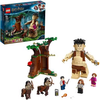 LEGO Harry Potter Το Απαγορευμένο Δάσος: Η Συνάντηση Του Γκράουπ Και Της Άμπριτζ 75967 5702016616675