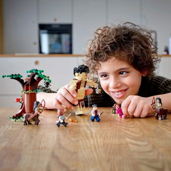 LEGO Harry Potter Το Απαγορευμένο Δάσος: Η Συνάντηση Του Γκράουπ Και Της Άμπριτζ 75967 5702016616675