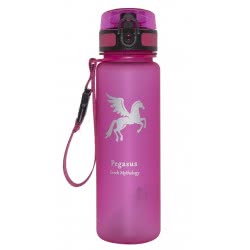 AlpinTec Pegasus Water Canteen 500Ml - Pink S-500PE/PK 4891321735513