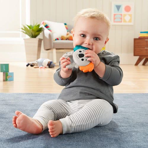 Mattel Μουσικό Κοάλα Οδοντοφυΐας Teether GPB30 887961882285