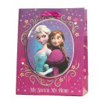 Canpol Τσάντα Δώρου 3D Disney Μεσαία - 4 Σχέδια T3D-30 5906190107121