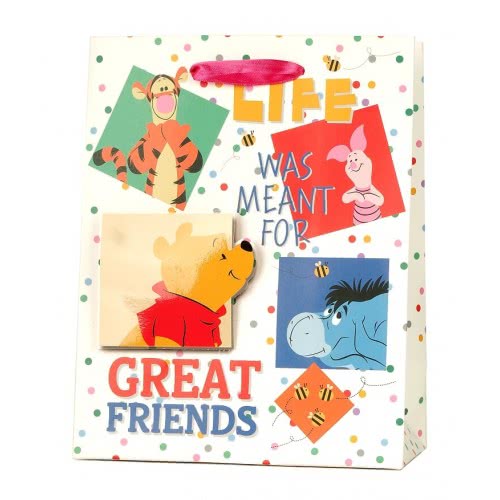 Canpol Gift Bag 3D Disney Small - 4 Designs T3D-20 5906190107114