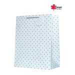 Canpol Χάρτινη Σακούλα Πουά Μεσαία - 4 Σχέδια TT-30 5906190102881