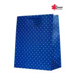 Canpol Paper Bag Dots Medium - 4 Designs TT-30 5906190102881