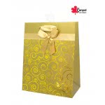 Canpol Paper Gift Bag Medium - 8 Designs TZ-30 5902814359792