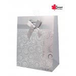 Canpol Paper Gift Bag Small - 8 Designs TZ-20 5902814359785