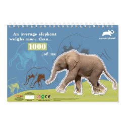 ANIMAL PLANET Painting Block With Stickers & Stensil 23X33cm 40Sh. - 2 Designs 000570694 5205698488504