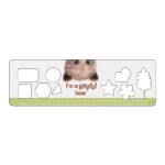 ANIMAL PLANET Painting Block With Stickers & Stensil 23X33cm 40Sh. - 2 Designs 000570694 5205698488504