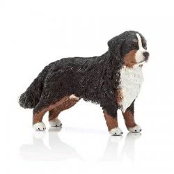Schleich Σκύλος Bernesse Βουνού Θηλυκός 16397 4005086163973