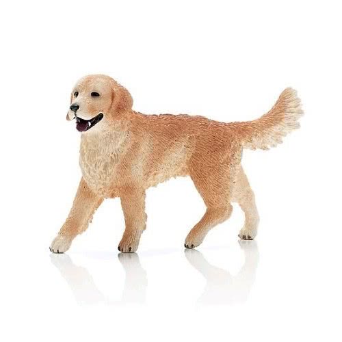 Schleich Γκόλντεν Ριτρίβερ Θηλυκό 16395 4005086163959
