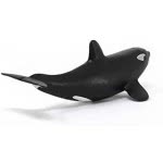 Schleich Φάλαινα Όρκα Μωρό 14836 4059433013947