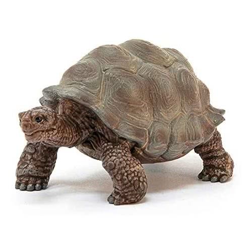 Schleich Χελώνα 14824 4055744033667