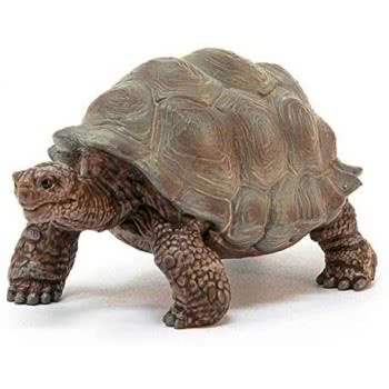Schleich Χελώνα 14824 4055744033667