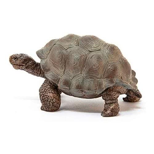 Schleich Χελώνα 14824 4055744033667