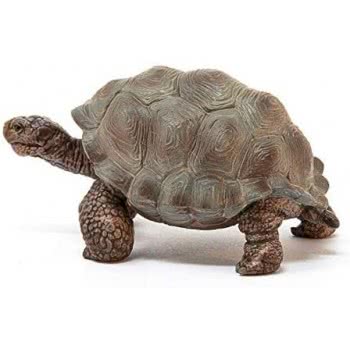 Schleich Giant Tortoise 14824 4055744033667