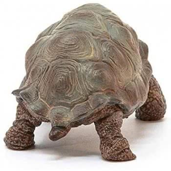 Schleich Χελώνα 14824 4055744033667