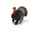 Schleich Farm World Γαλοπούλα 13900 4055744040689