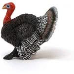 Schleich Farm World Γαλοπούλα 13900 4055744040689