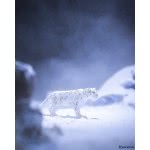 Schleich Snow Leopard 14838 4059433027326