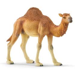 Schleich Wild Life Dromedary 14832 4059433039671