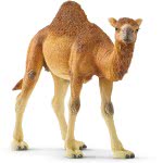 Schleich Wild Life Dromedary 14832 4059433039671