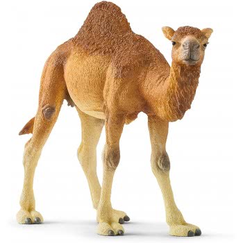 Schleich Wild Life Dromedary 14832 4059433039671