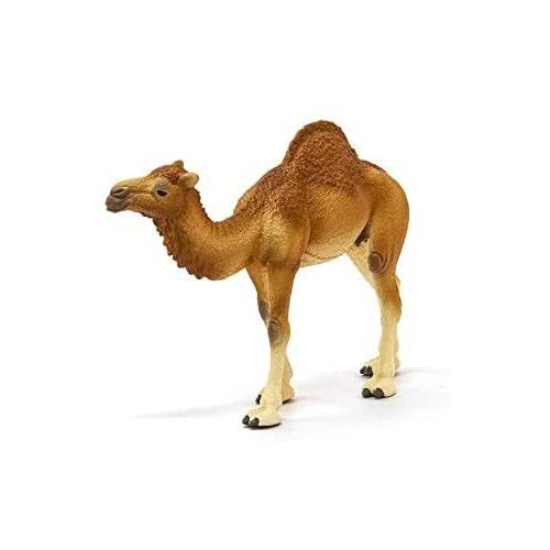 Schleich Wild Life Dromedary 14832 4059433039671