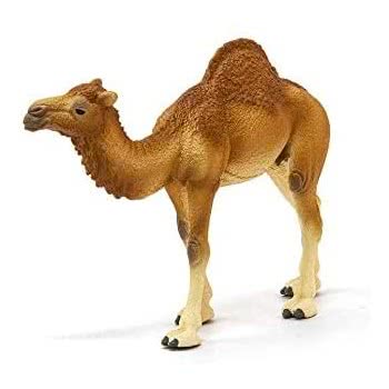Schleich Wild Life Dromedary 14832 4059433039671