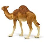 Schleich Wild Life Dromedary 14832 4059433039671