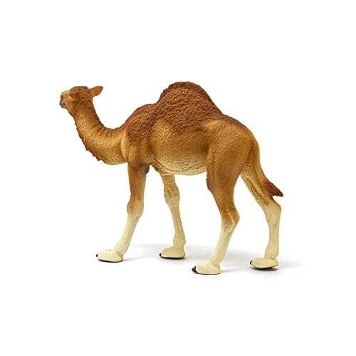 Schleich Wild Life Dromedary 14832 4059433039671