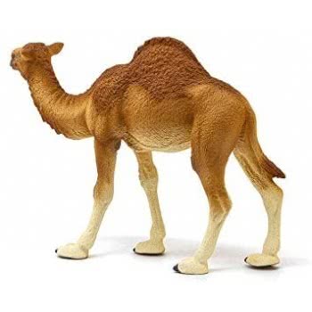 Schleich Wild Life Dromedary 14832 4059433039671