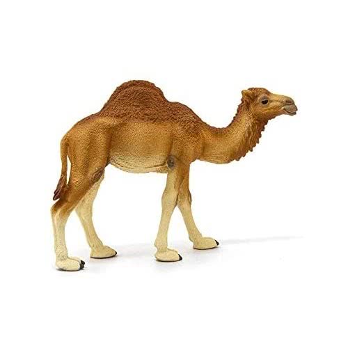 Schleich Καμήλα Δρομέας 14832 4059433039671