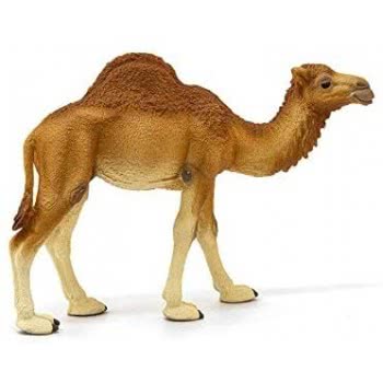 Schleich Wild Life Dromedary 14832 4059433039671