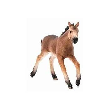 Schleich Mustang Foal 13807 4005086138070