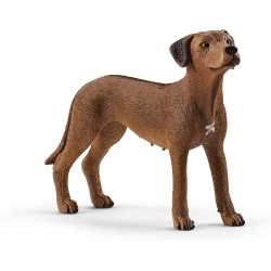 Schleich Σκύλος Rhodesian Ridgeback 13895 4059433007229