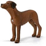 Schleich Σκύλος Rhodesian Ridgeback 13895 4059433007229