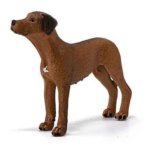 Schleich Σκύλος Rhodesian Ridgeback 13895 4059433007229