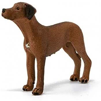 Schleich Σκύλος Rhodesian Ridgeback 13895 4059433007229