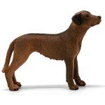 Schleich Rhodesian Ridgeback 13895 4059433007229