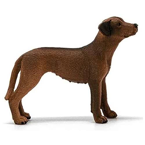 Schleich Σκύλος Rhodesian Ridgeback 13895 4059433007229