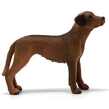 Schleich Rhodesian Ridgeback 13895 4059433007229