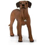 Schleich Σκύλος Rhodesian Ridgeback 13895 4059433007229