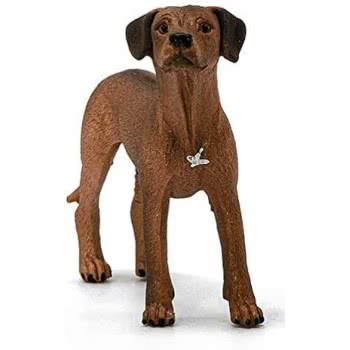 Schleich Σκύλος Rhodesian Ridgeback 13895 4059433007229