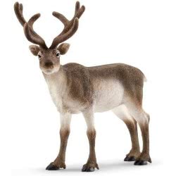 Schleich Reindeer 14837 4059433013961